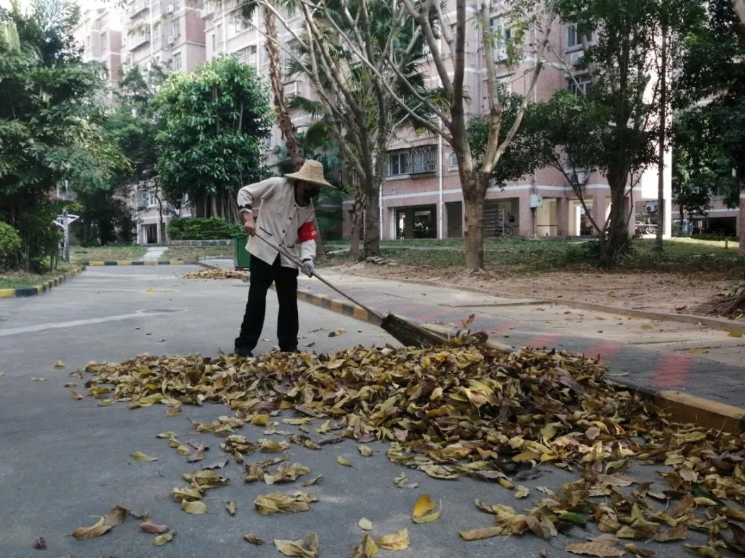 一名驻村干部的扶贫见闻,一位扶贫干部的驻村日记
