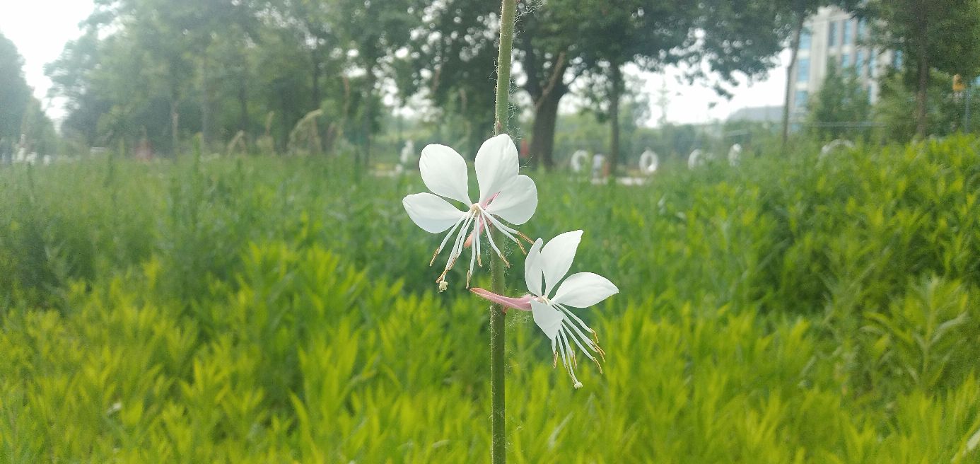 似曾相识的短篇小说,万念俱灰全文阅读