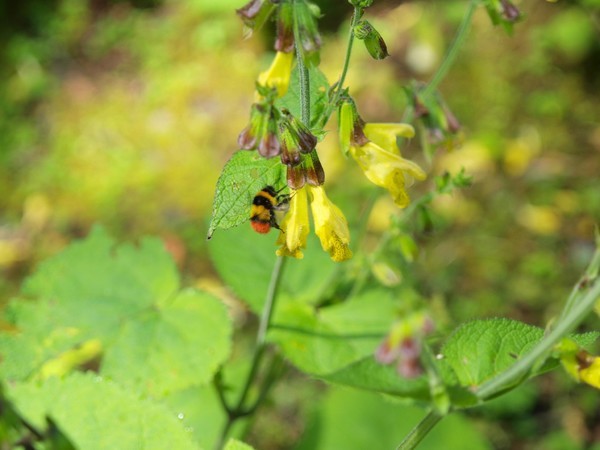 四姑娘山冬日旅行,2022年冬天四姑娘山游记