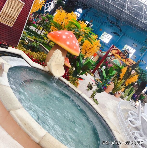 沈阳温泉水世界自助好吗,沈阳温泉池多的温泉