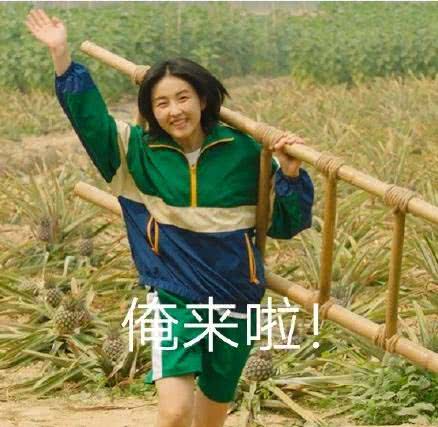 向往的生活第四季张子枫黄磊,向往的生活第四季黄磊油炸茄子