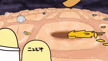 杨幂教你全身美白护肤秘籍,杨幂常年在用的护肤秘诀