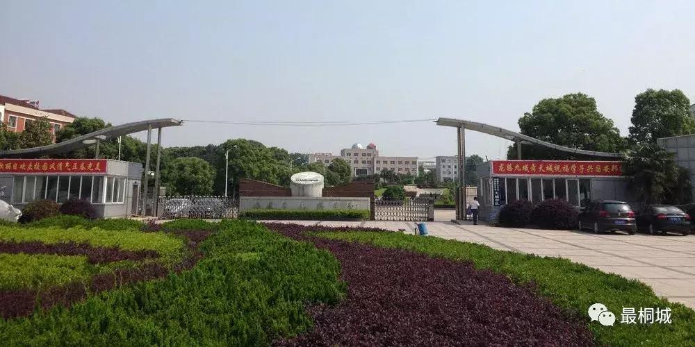 天成毕业照,一帧一帧的毕业照