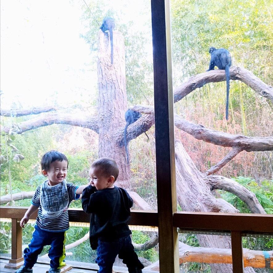 车模翟凌2018北京车展,中国第一车模翟凌复出