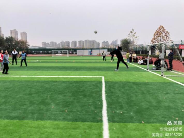 新郑市龙湖镇智慧城小学足球,新郑市校园足球比赛