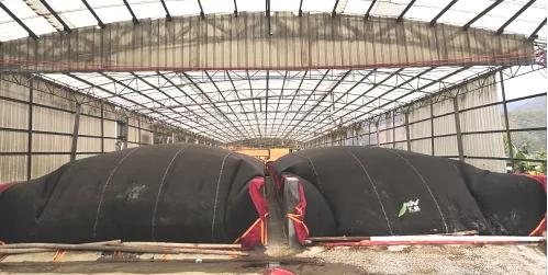 散养畜禽粪便的处理利用方法,畜禽养殖粪便处理项目