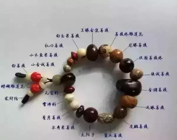 十八籽在文玩界的地位,第三代十八籽手串是哪十八籽