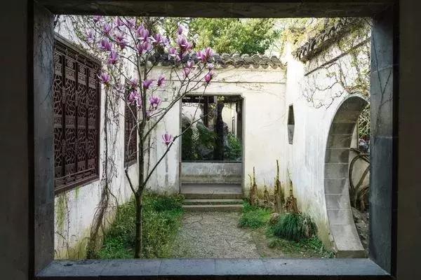 苏州五一不知道去哪里玩,五一不知道去哪就去苏州