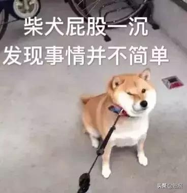 诈骗人员被骗了10多万,诈骗被骗1600