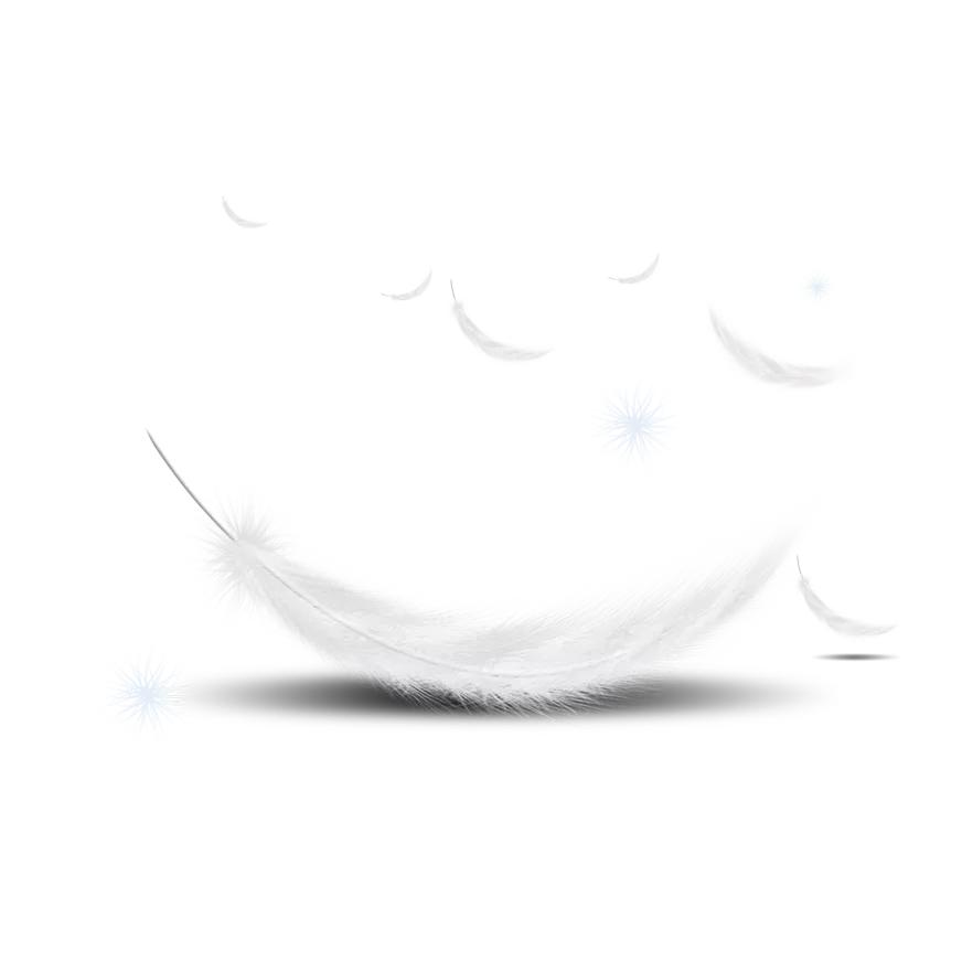 蝴蝶堂｜依曼丽：新品「风华」系列上市｜东方美人，惊艳时光的美