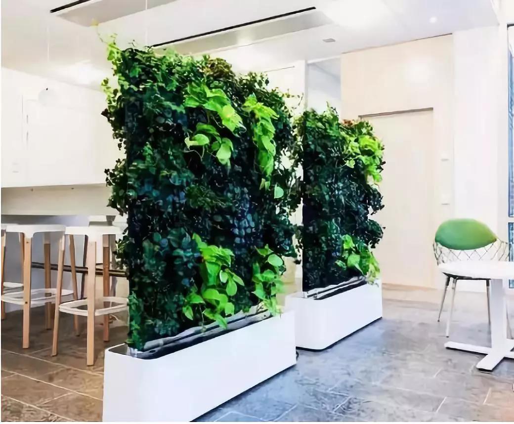 绿化屏风墙,庭院植物屏风隔断图片