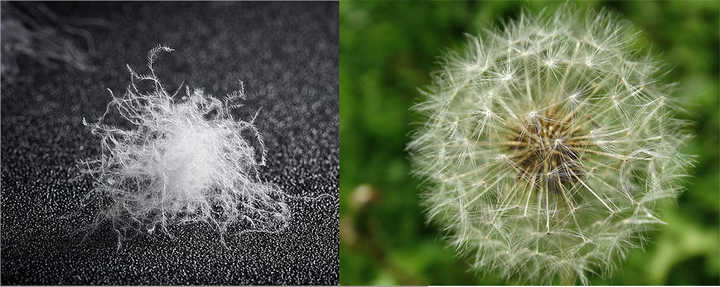 羽绒服机洗以后一坨一坨的怎么办,机洗羽绒服的正确方法要拉拉链吗