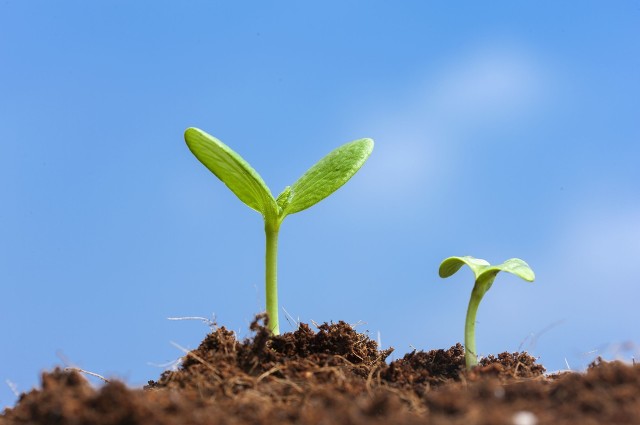 *小平邓**的人格魅力，伟人的与众不同