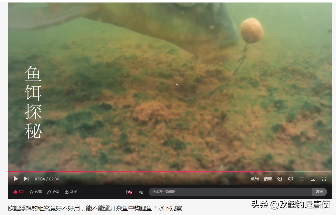 话说欧鲤钓之科学篇,欧鲤钓知识讲解