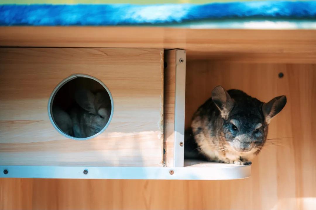 西双版纳蓝孔雀江景主题酒店,西双版纳告庄双景酒店攻略