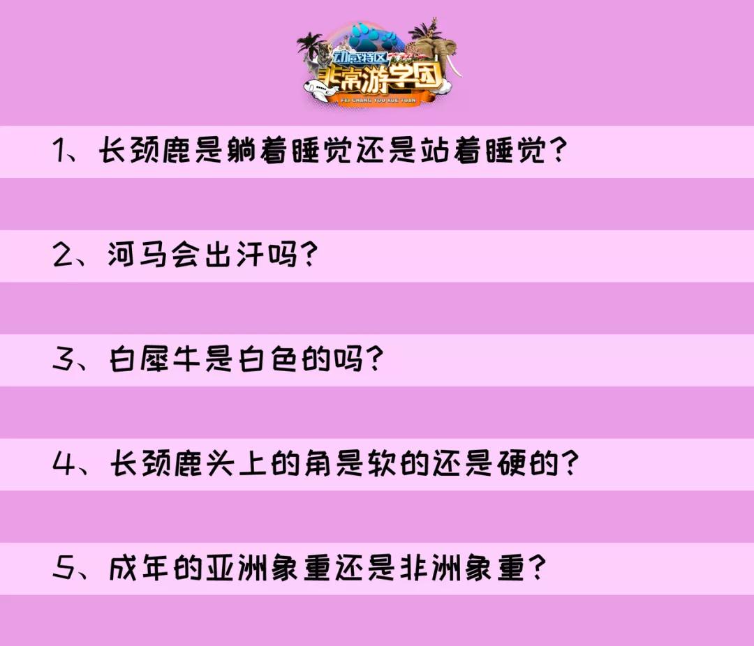 大熊猫相关知识,大熊猫百科知识详细介绍