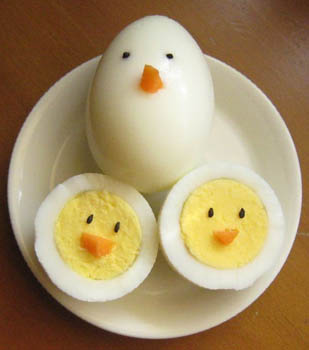 鸡蛋孵化手工制作,鸡蛋孵化小鸡的简单工具