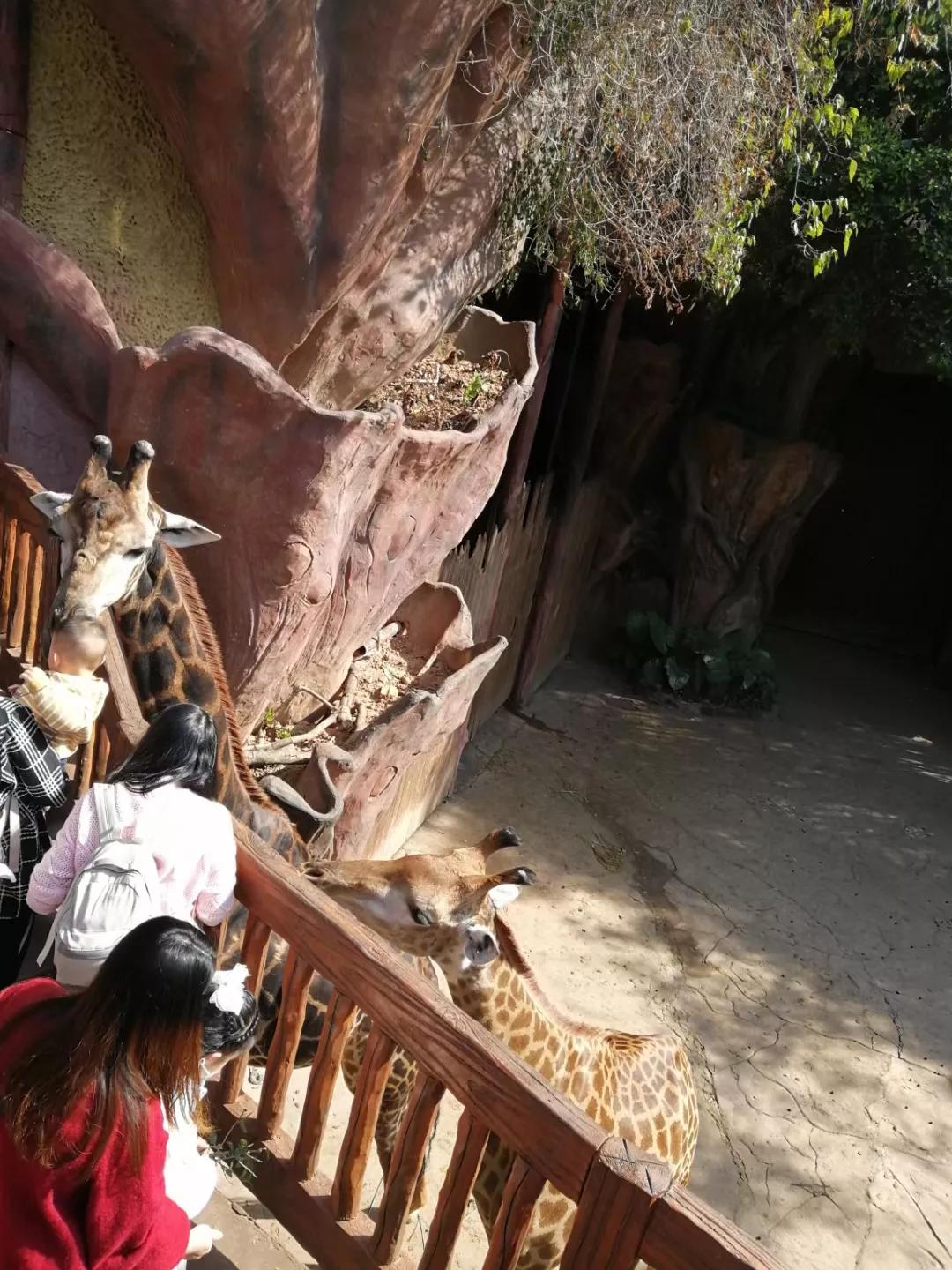 广州地铁3号线旅游攻略图,广州番禺广场地铁站旅游攻略