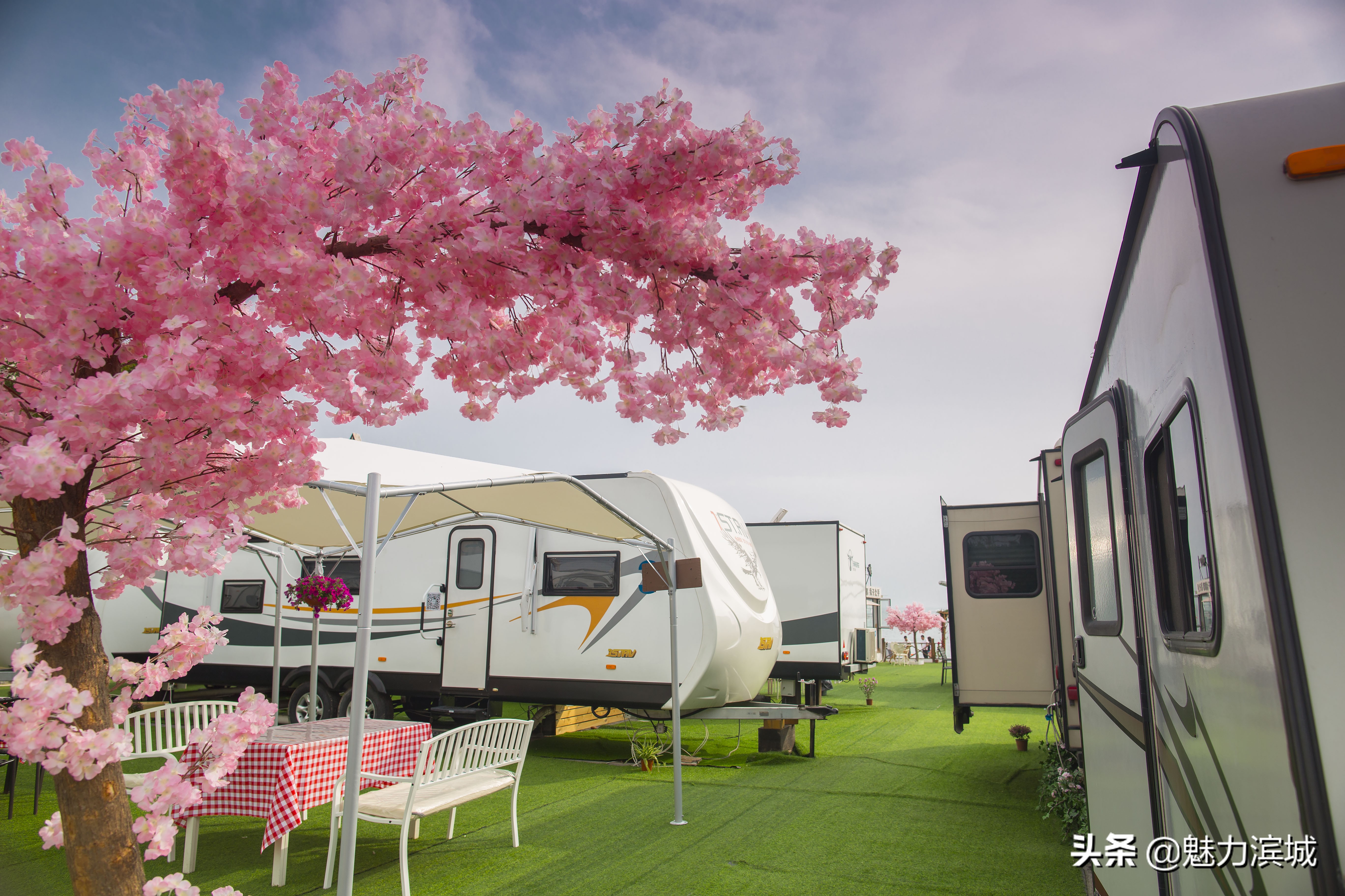 大连银泰王艺,大连银泰集团董事长