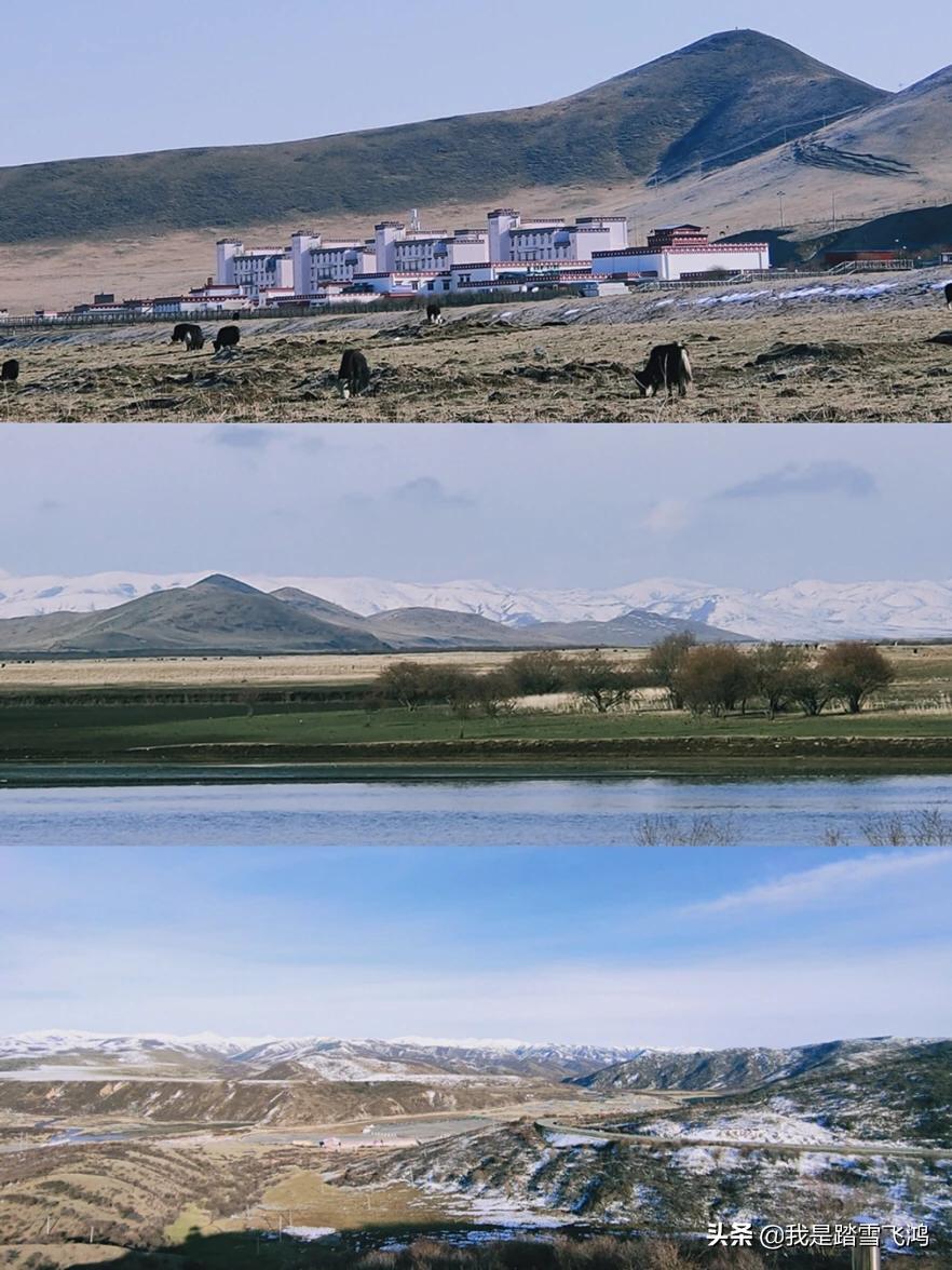 川西若尔盖7天自驾游,自驾9天若尔盖