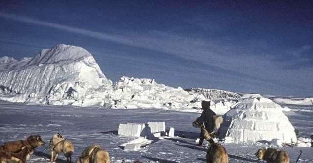 爱斯基摩人狩猎习俗,吃生肉的爱斯基摩人