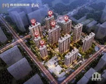 管南片区深度解析,管南解析