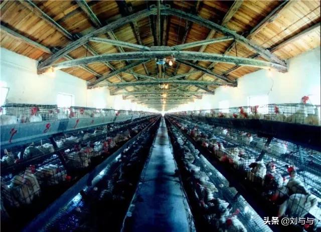 山东省兖州市兴隆庄煤矿,兖州矿务局兴隆庄煤矿