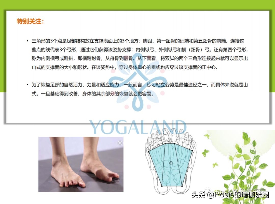 瑜伽小白如何在家自己练瑜伽,瑜伽零基础入门的基本体式有哪些