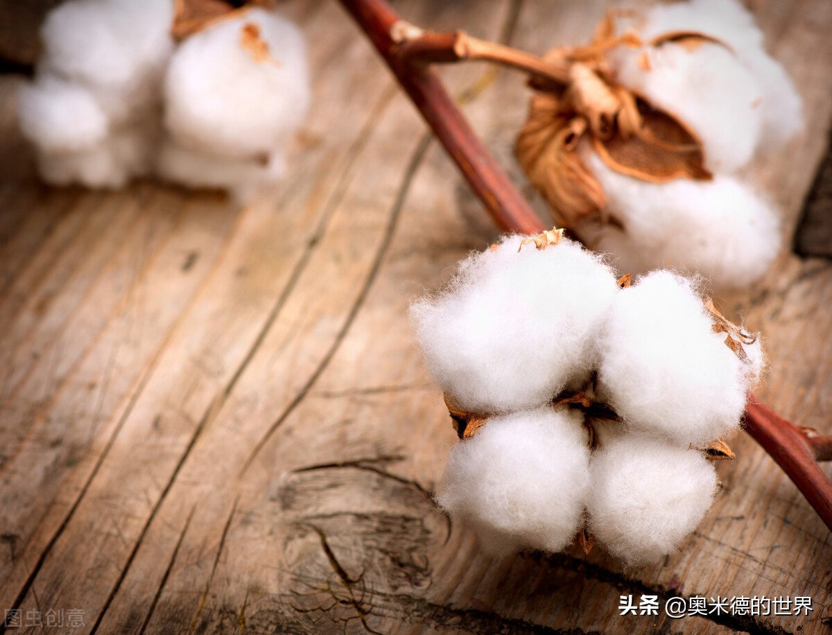 丝绸之路的知识视频,丝绸之路冷知识