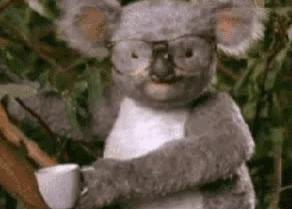 网易考拉与雅诗兰黛哪个好,考拉自营雅诗兰黛是正品吗