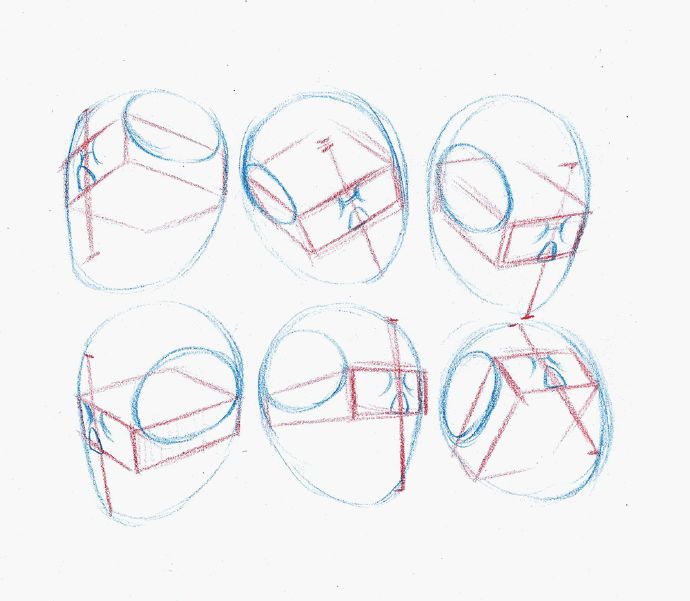 浜虹墿澶村儚缁樼敾鏁欑▼,鍔ㄦ极澶村儚缁樼敾鏁欑▼