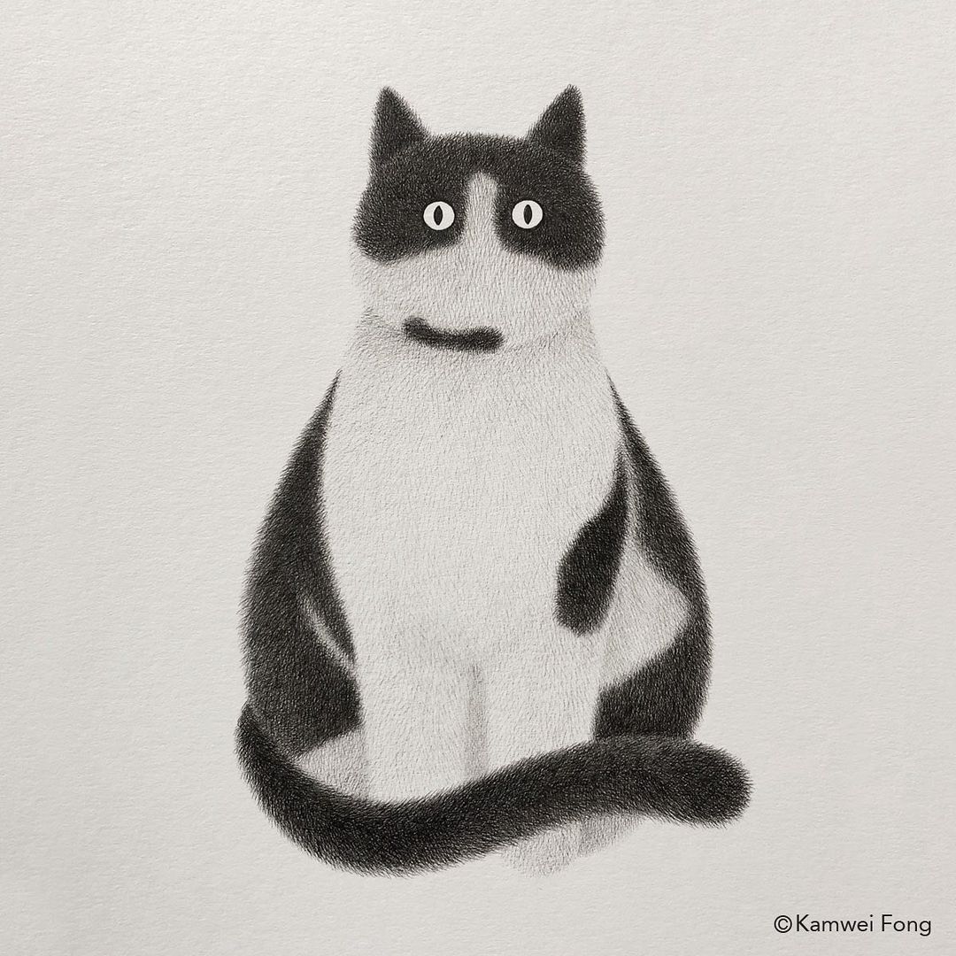 毛茸茸的手绘猫,可爱黑白手绘猫咪