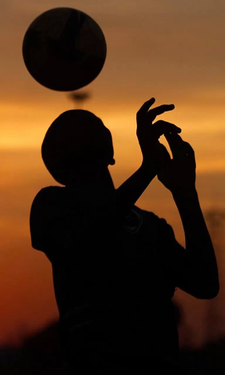 足球狗之歌-纪念失去的青春