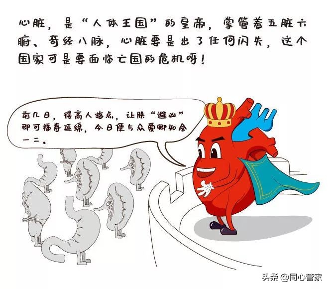 心脏最怕什么？送你几招“破解秘籍”！