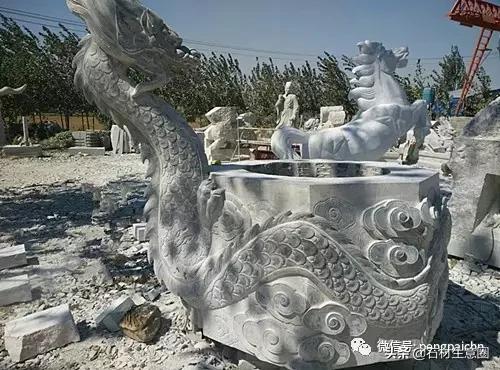 龙的传人对应词,龙图腾寓意