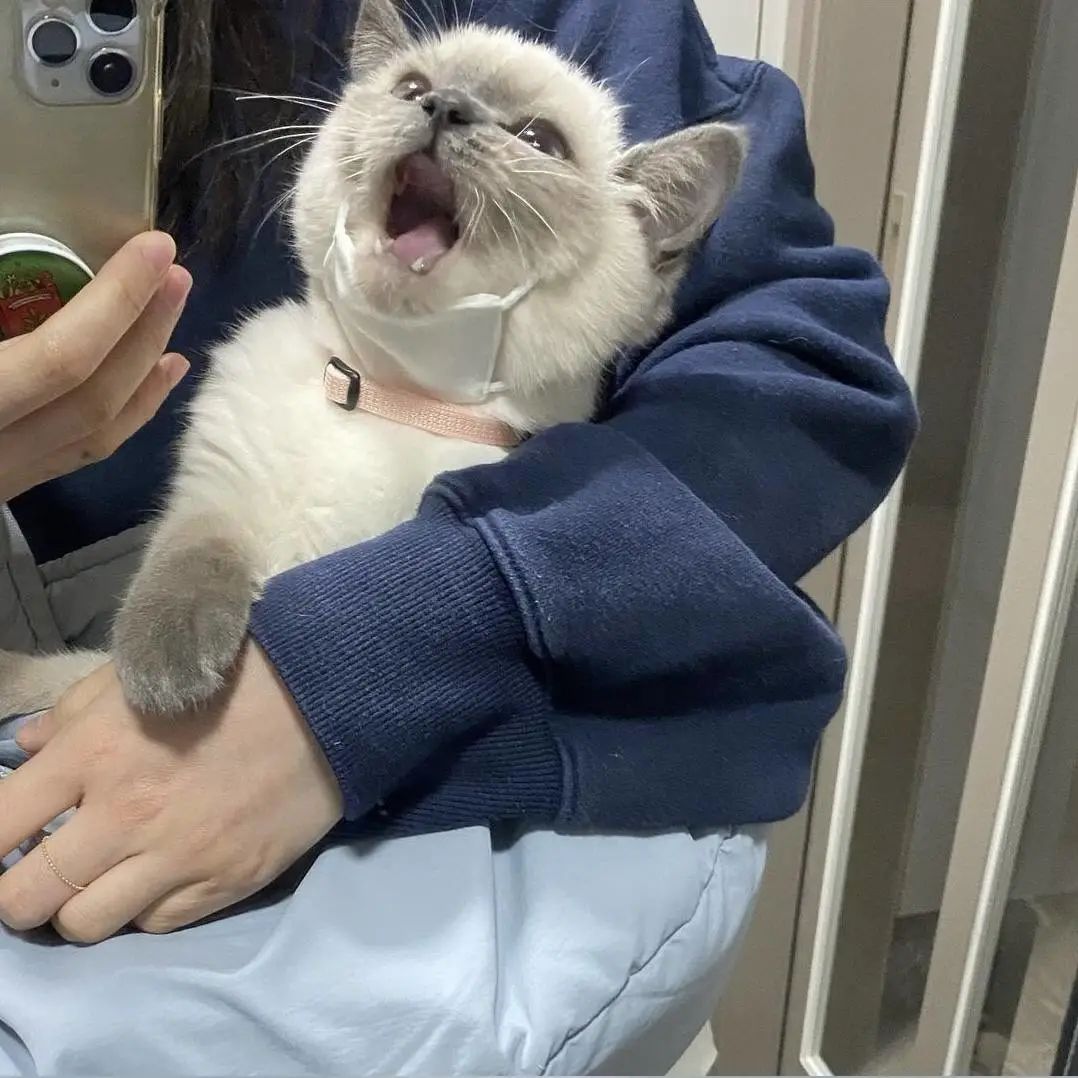 煤老板爆红完整版,煤老板ins