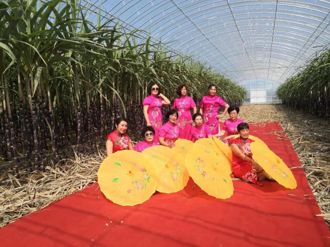 央媒集体点赞,央视新闻联播点赞9万亩小麦