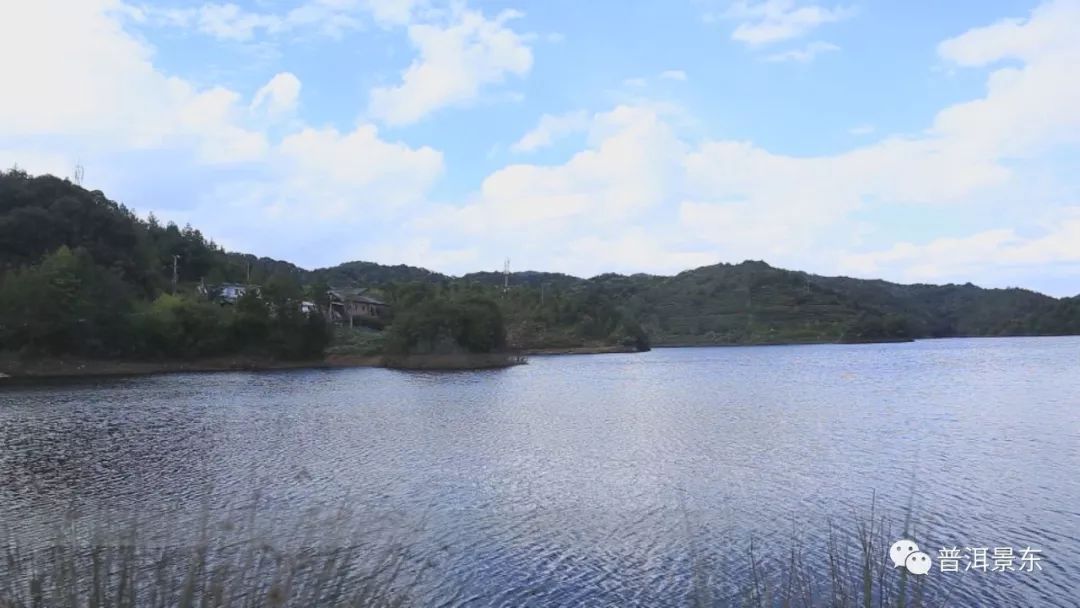 夜访哀牢山怪物，长相吓人叫声恐怖！