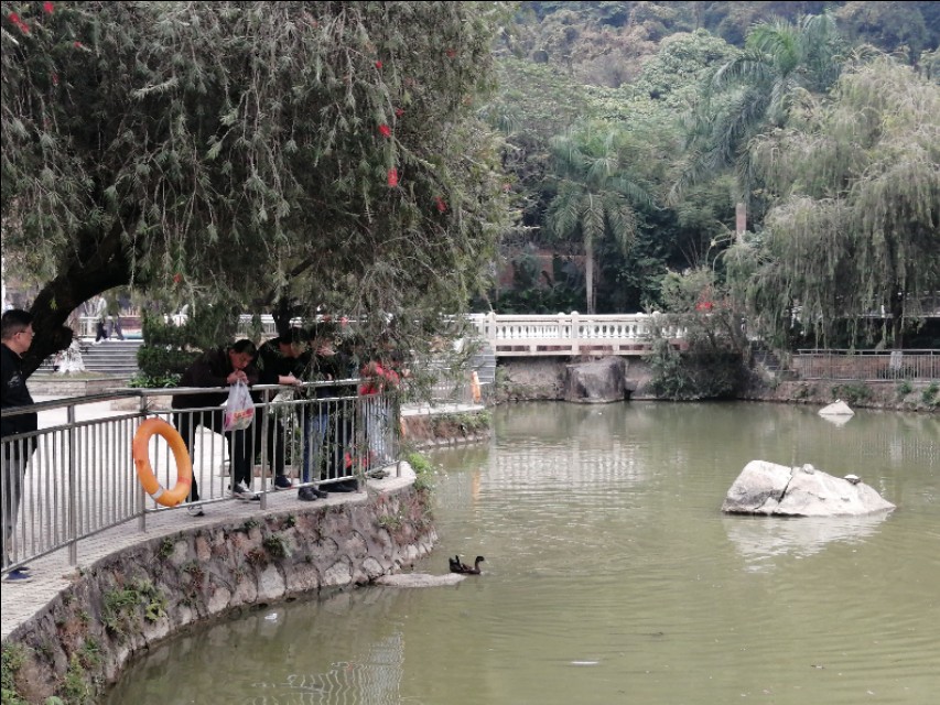 在台企上班体验,5年前拿着3千块钱的工资,现在的你收入过万了吗