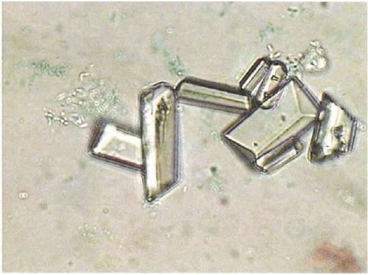 中药和西药同时吃要注意什么,中药与西药服用注意事项