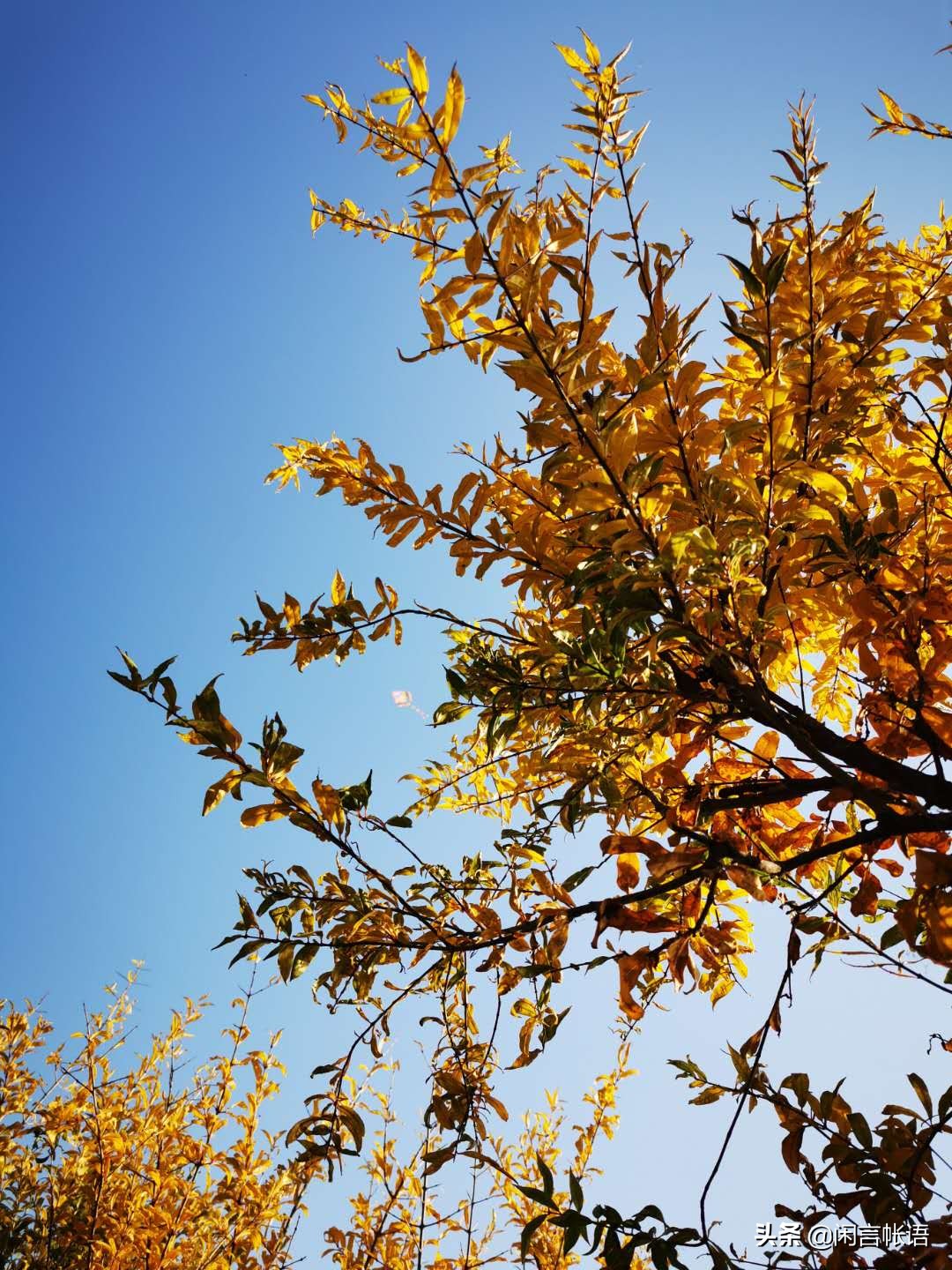 潘金莲与陈经济是姐弟恋吗,潘金莲和陈济棠故事