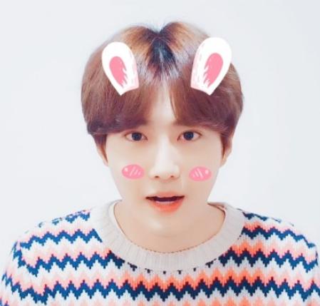 动物系内娱男爱豆,动物系爱豆完整版