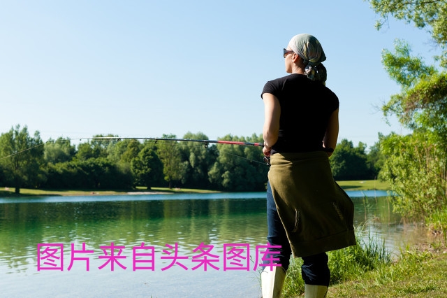 一根钓鱼竿的视频,我的钓鱼竿