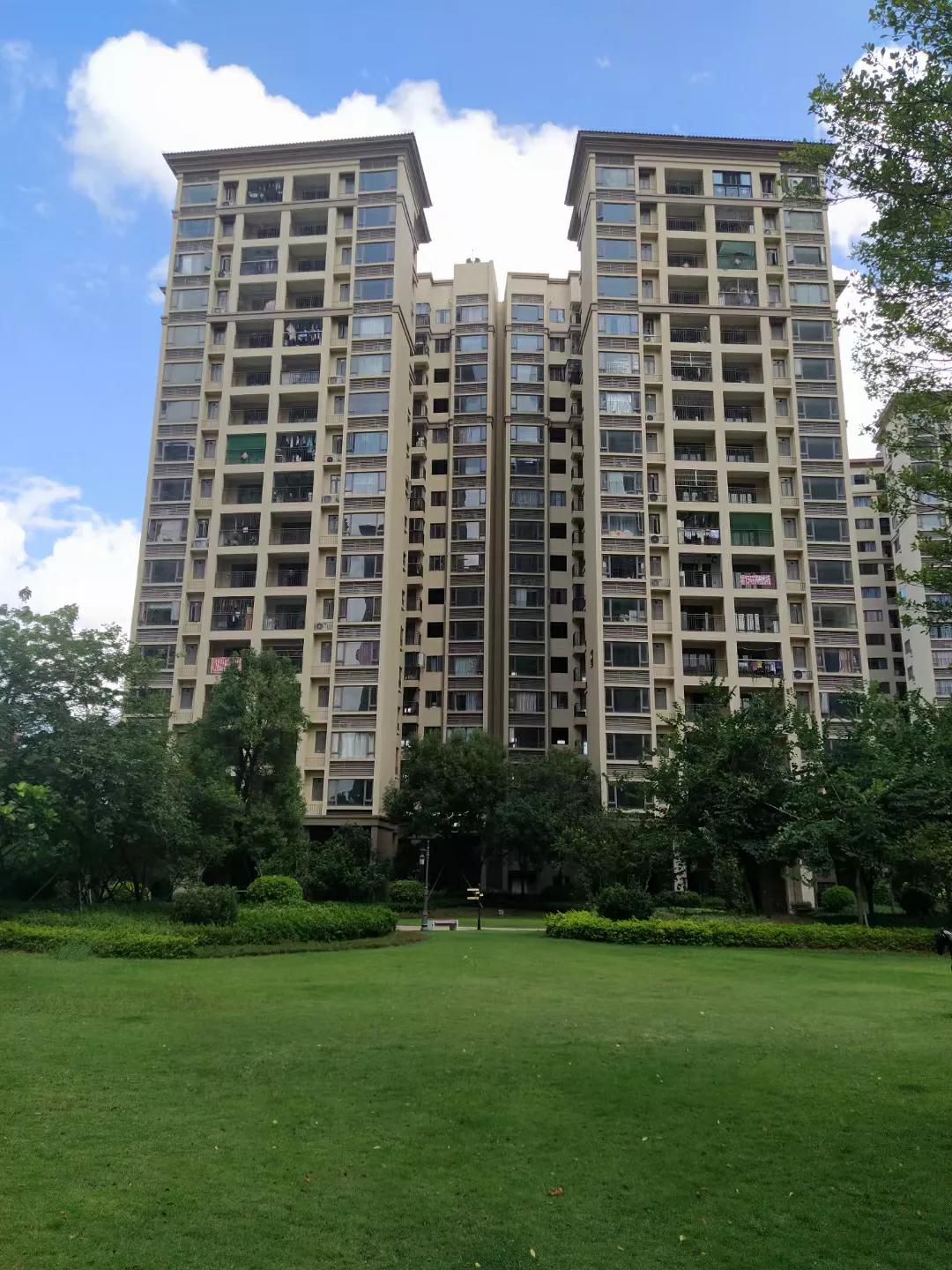 人在深圳感悟,人在深圳旅途图片