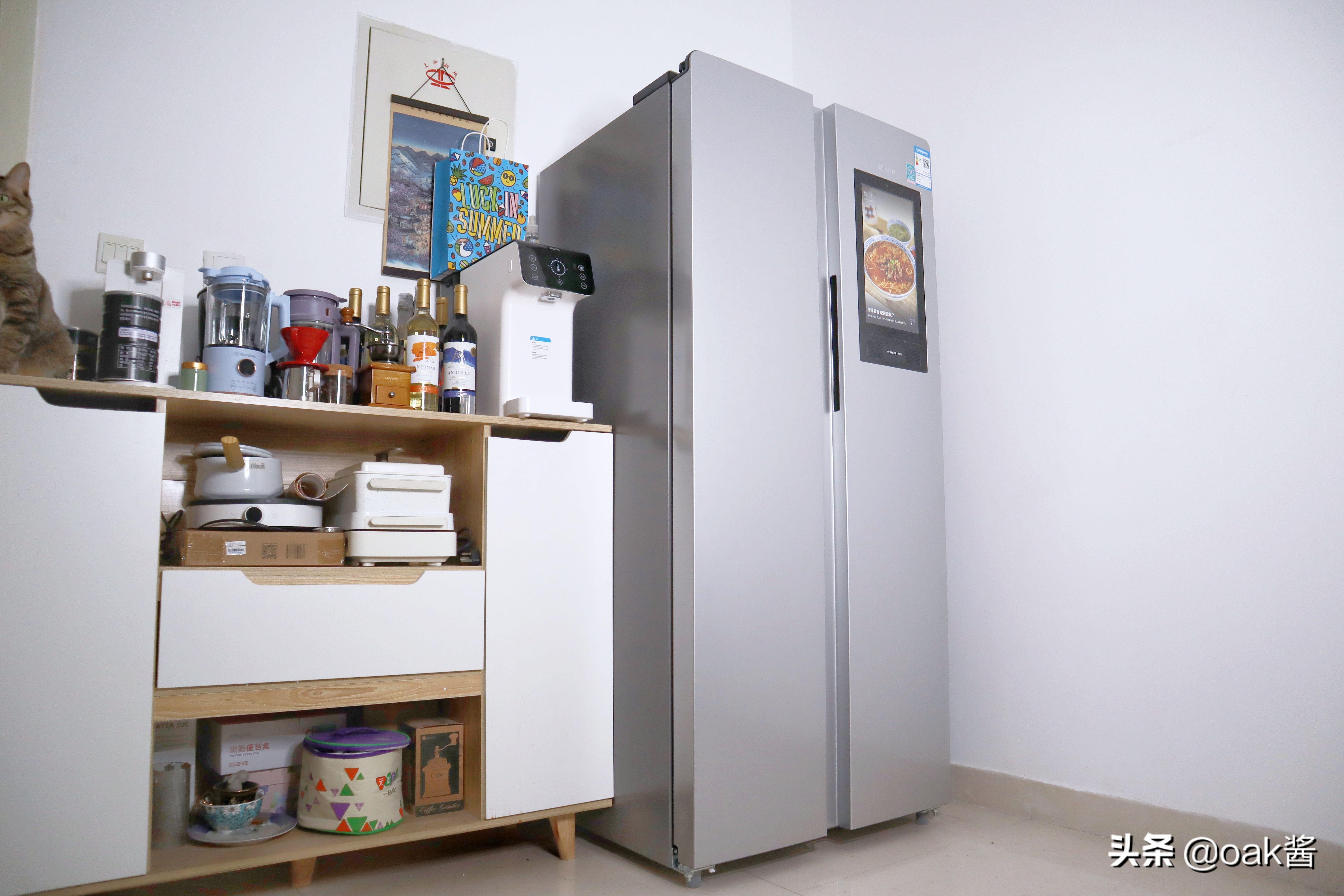 云米智能冰箱双开门真实测评,高科技冰箱刷抖音