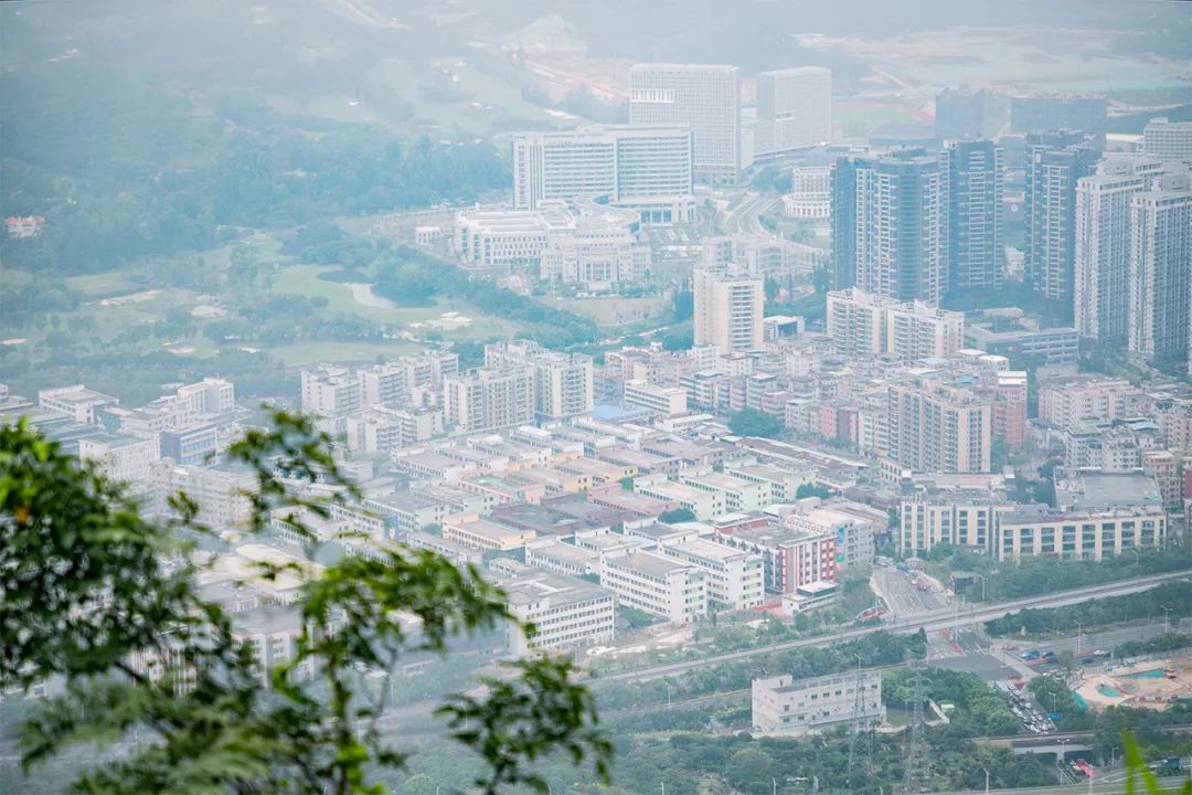 深圳值得去的地标,深圳值得去的景点排行榜