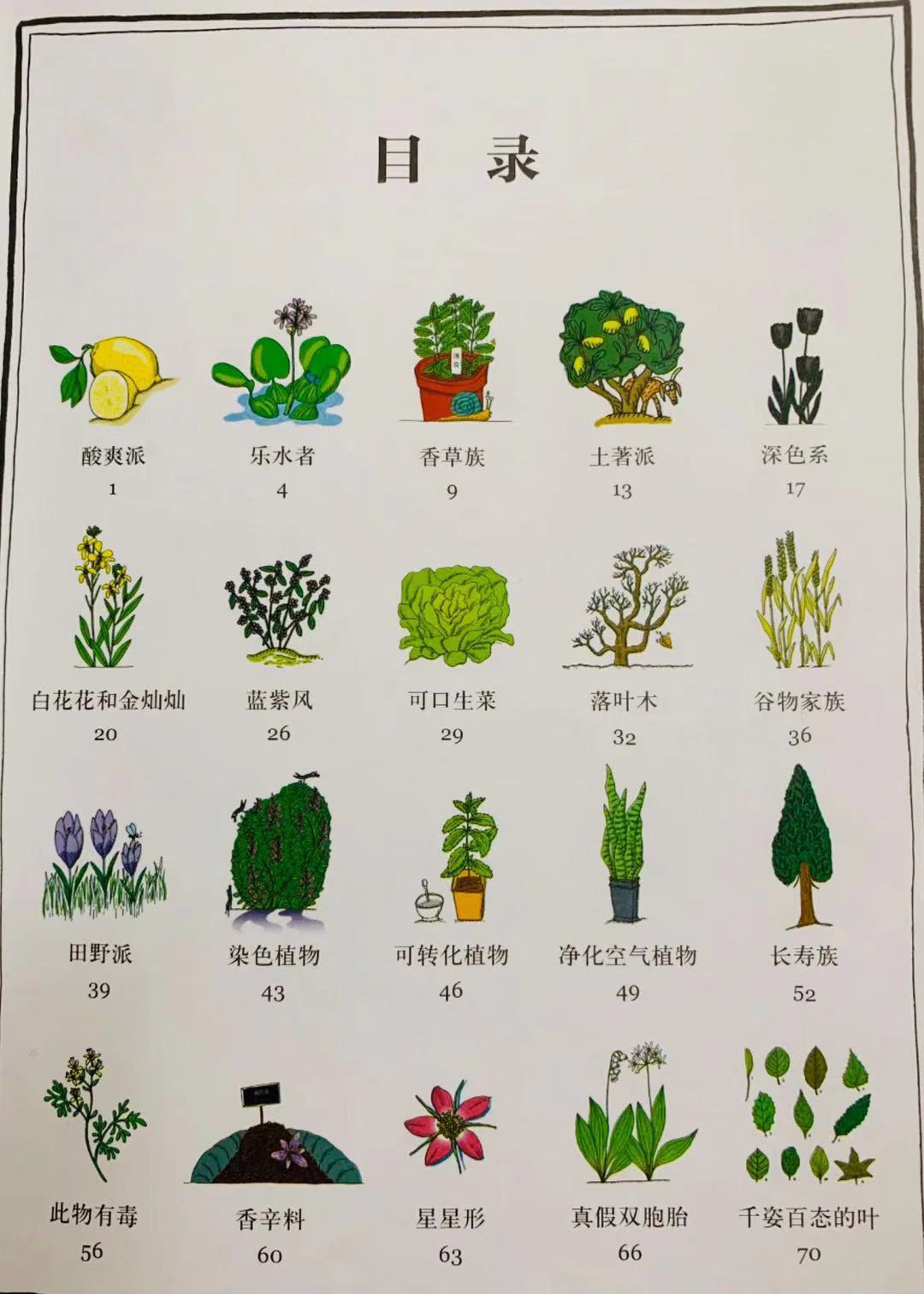 草莓长在树上好看吗,草莓是生命力顽强的植物