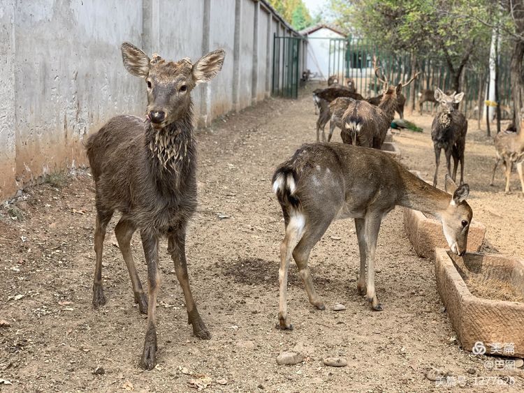 洛阳市宜阳凤凰岭射箭,宜阳县凤凰岭体育基地