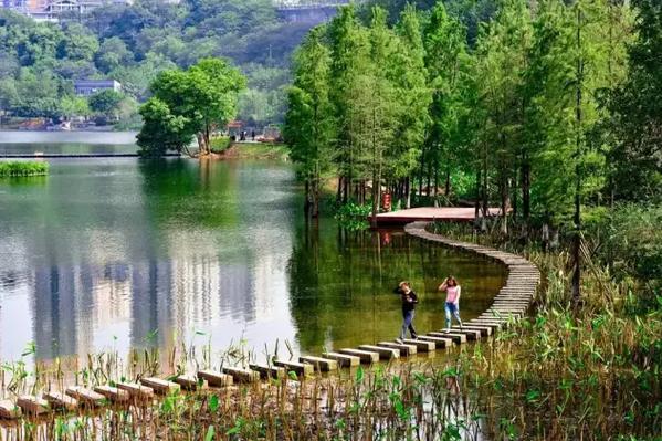 重庆藏在主城区的游乐公园,重庆最好的湿地公园