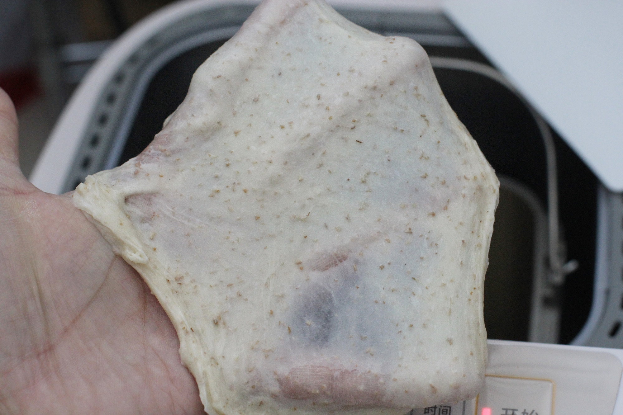 面包机做吐司总失败,面包机做面包难吃的原因